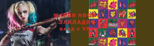 хмурый Алексин