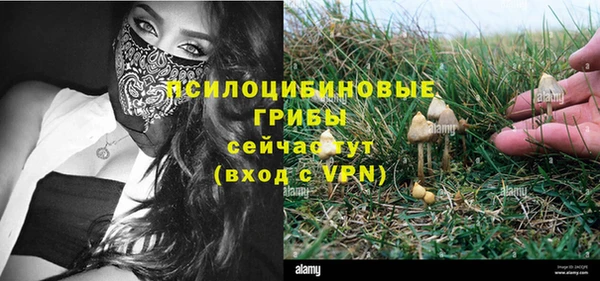 apvp Алексеевка