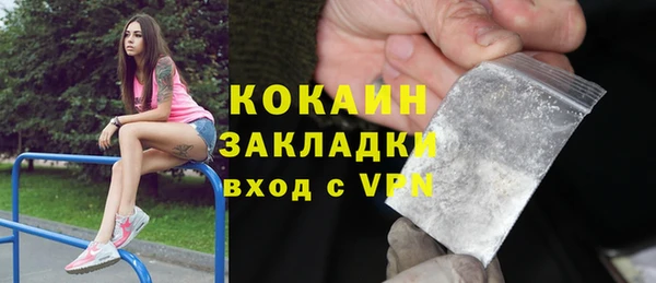 хмурый Алексин