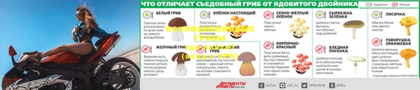 apvp Алексеевка