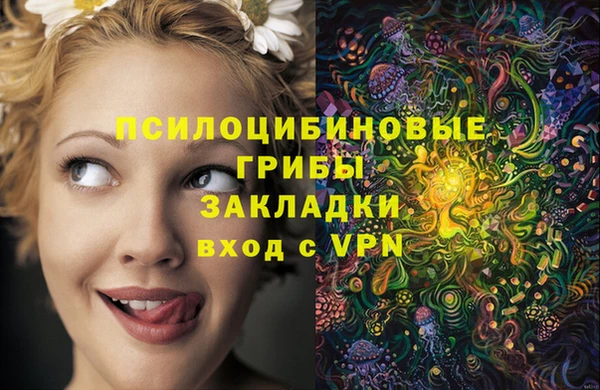 прущая мука Осинники